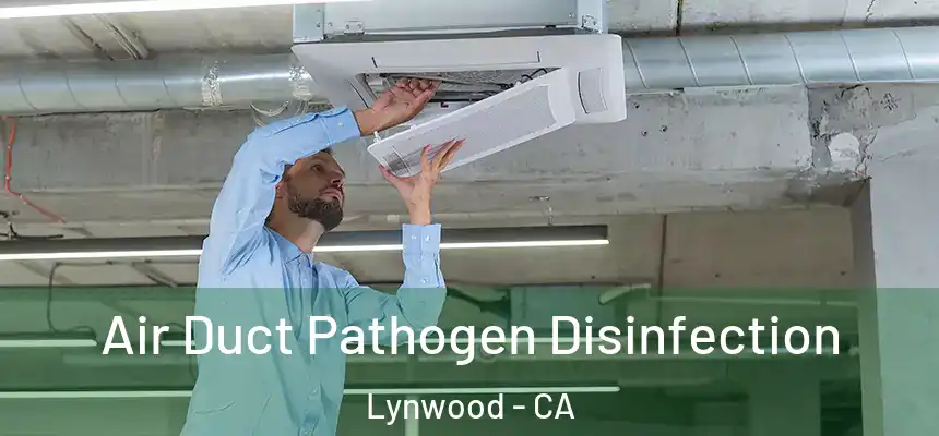 Air Duct Pathogen Disinfection Lynwood - CA