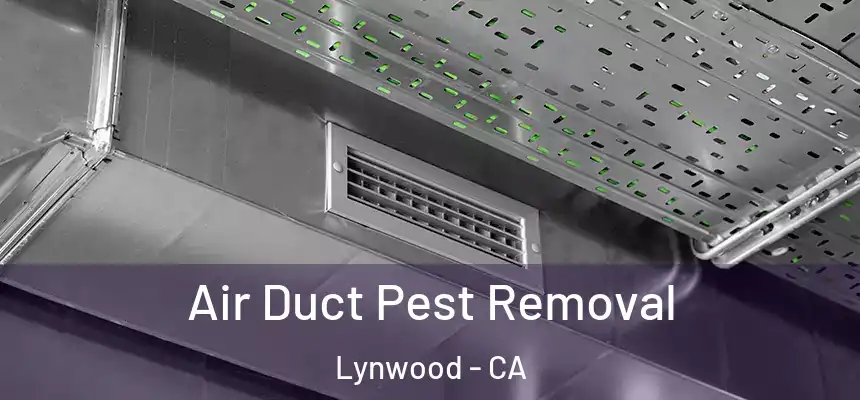 Air Duct Pest Removal Lynwood - CA