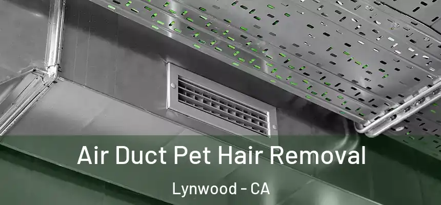 Air Duct Pet Hair Removal Lynwood - CA
