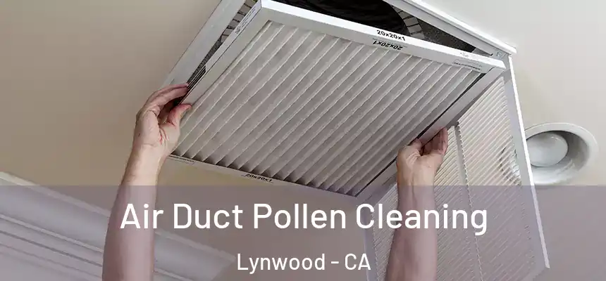 Air Duct Pollen Cleaning Lynwood - CA