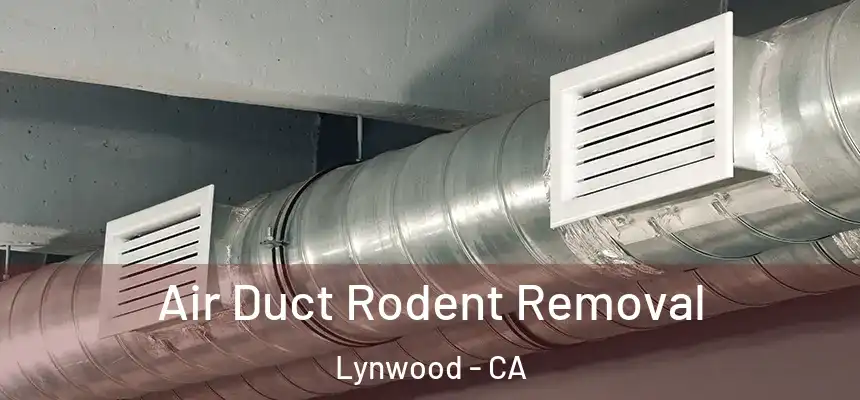 Air Duct Rodent Removal Lynwood - CA