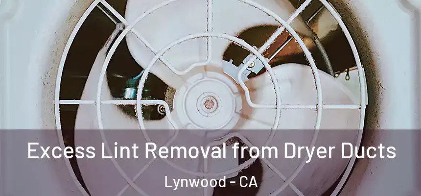 Excess Lint Removal from Dryer Ducts Lynwood - CA