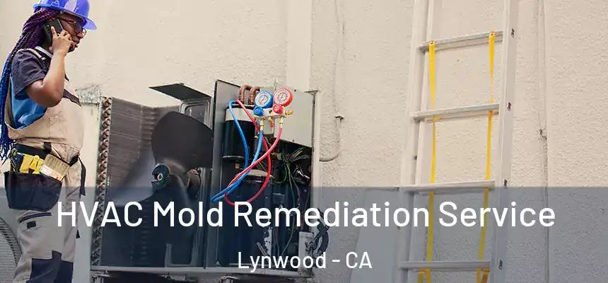 HVAC Mold Remediation Service Lynwood - CA