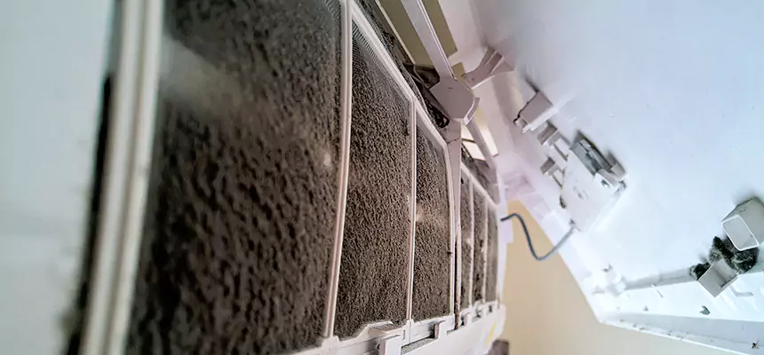 Preventive Air Duct Bacteria Removal in Lynwood