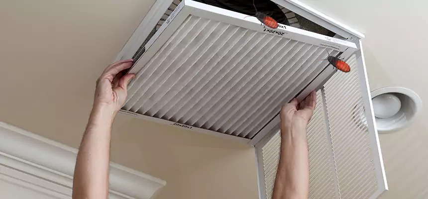 Preventive Cockroach-Proofing for Ducts in Lynwood