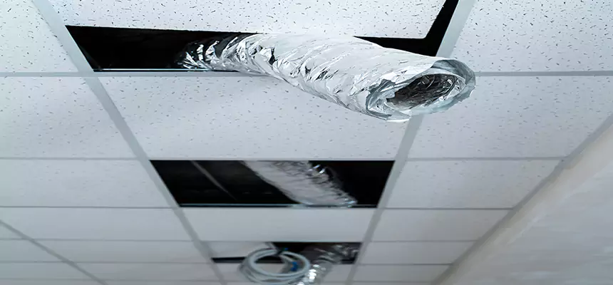 Affordable HVAC Sanitizing After Pest Removal in Lynwood