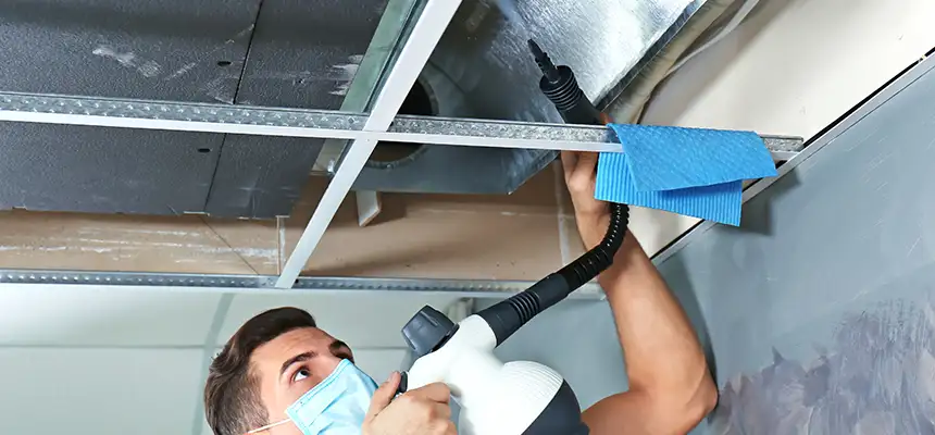Our Air Duct Rodent Removal Services in Lynwood, CA