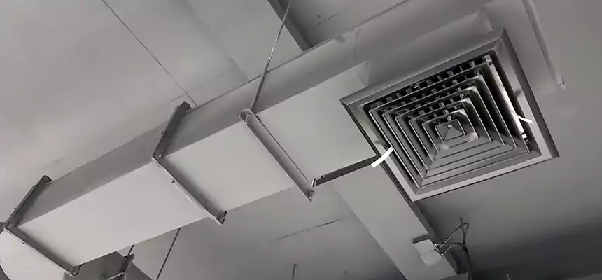 Our Pest Removal From Ducts Services in Lynwood, CA