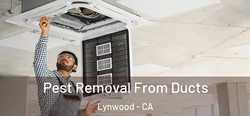  Pest Removal From Ducts Lynwood - CA