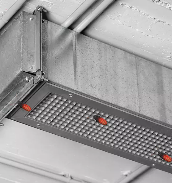 About Air Duct Cockroach Removal in Lynwood, CA