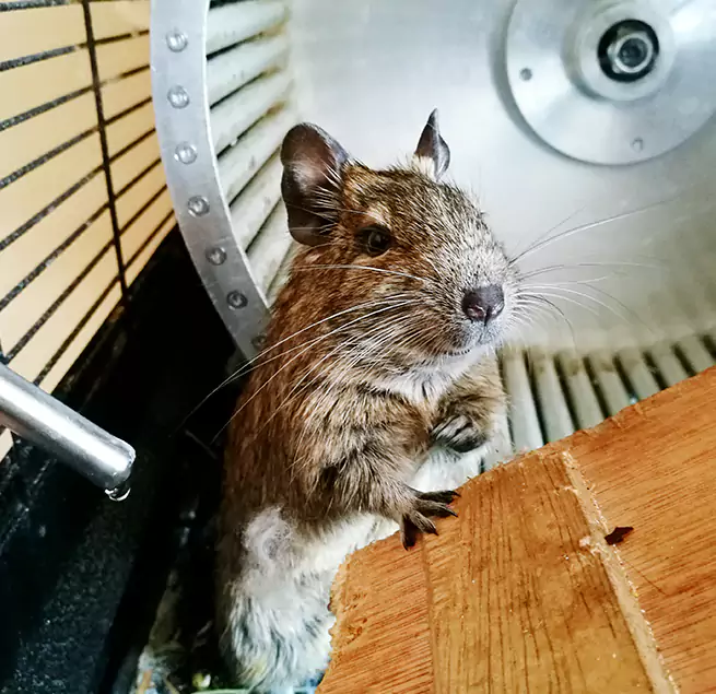 Why Homeowners & Businesses Trust Us Lynwood, CA