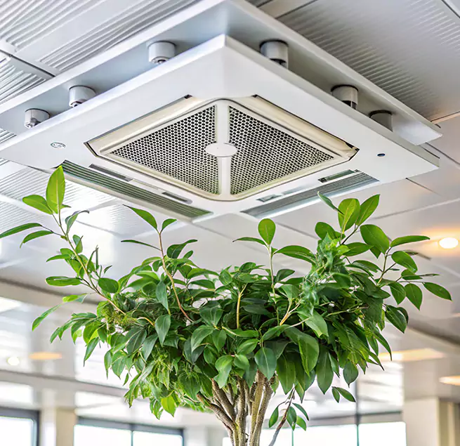 Why Homeowners & Businesses Trust Us in Lynwood, CA