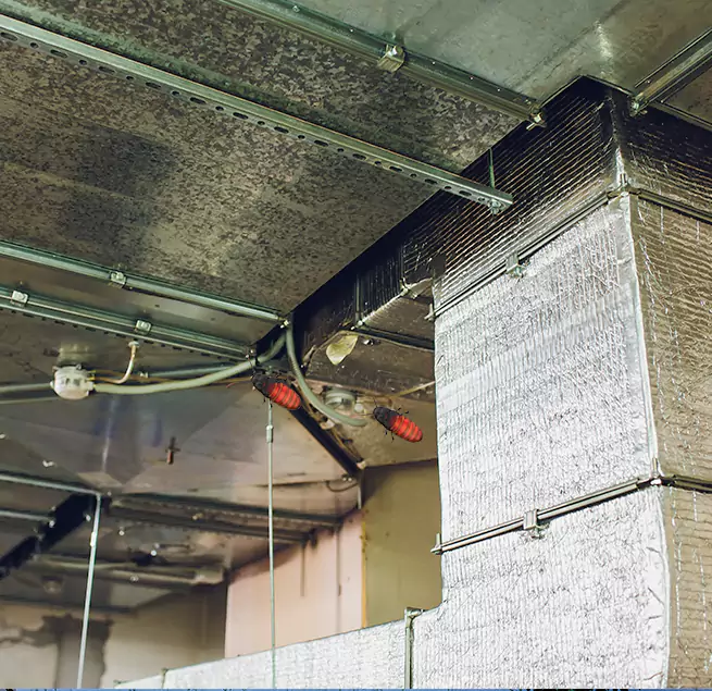 Why Homeowners & Businesses Trust Us Lynwood, CA?