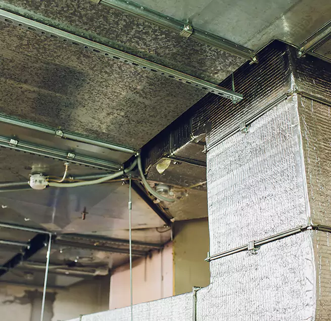 Why Homeowners & Businesses Trust Us in Lynwood, CA?